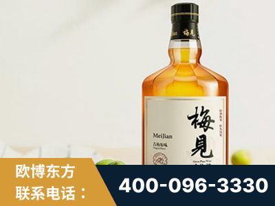 舟山-梅见青梅酒